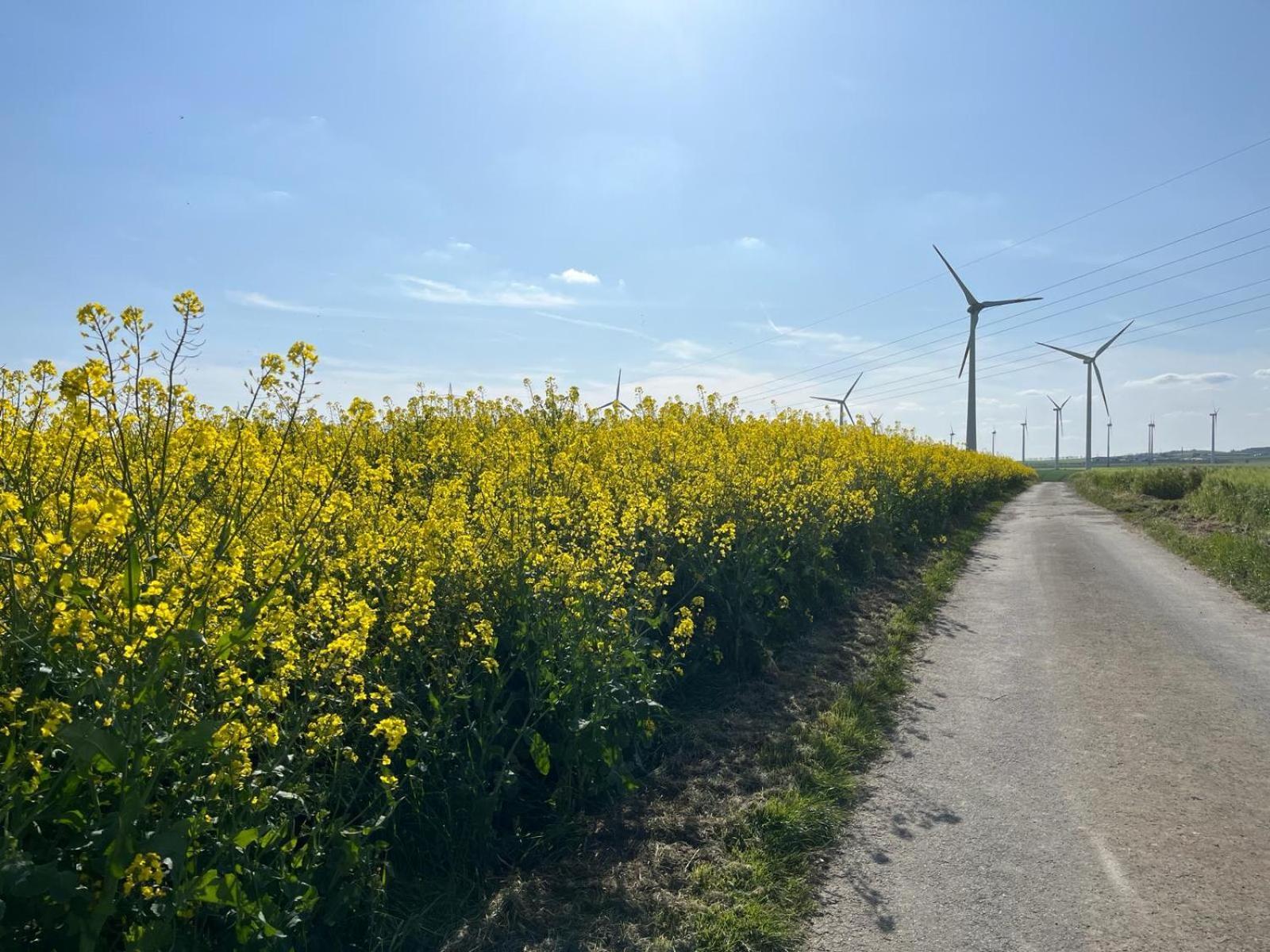 Kaisers Ferienhaus Kaifenheim Zewnętrze zdjęcie